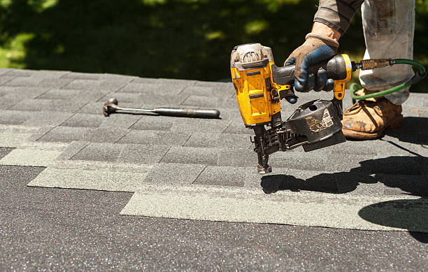 Best Roof Gutter Cleaning  in Decatur, MS
